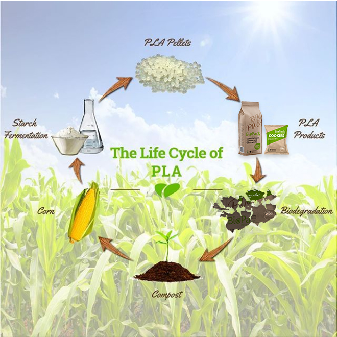 биоразлагаемый процесс