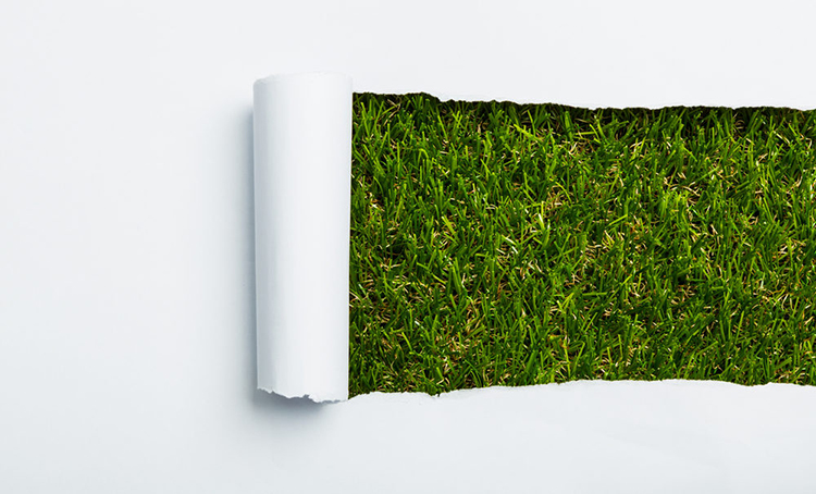 Shutterstock-Гра-зеленый-устойчивый-1